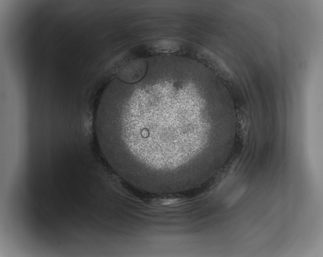 X0000101710745200807171535