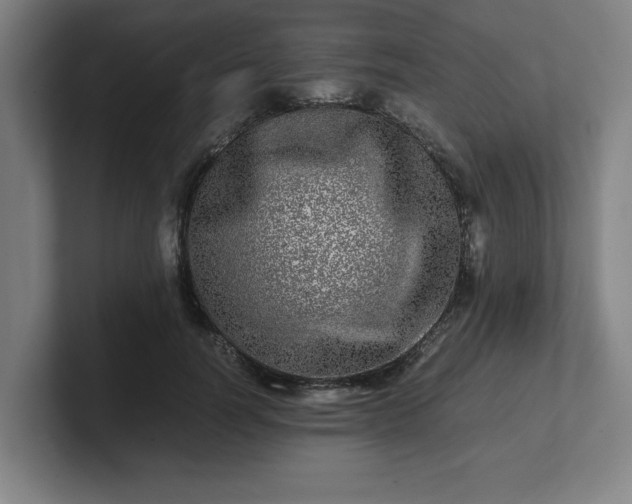 X0000101710746200807171535