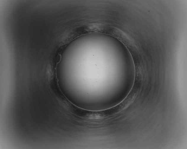 X0000101710751200807171535