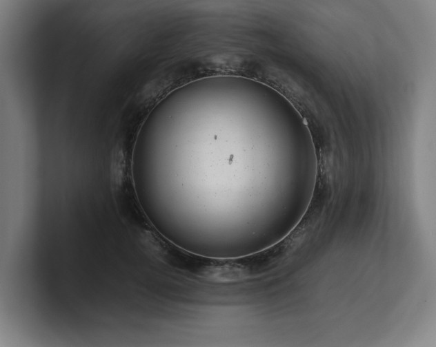 X0000101710752200807171535