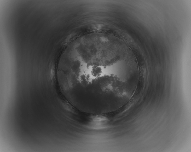 X0000101710754200807171535
