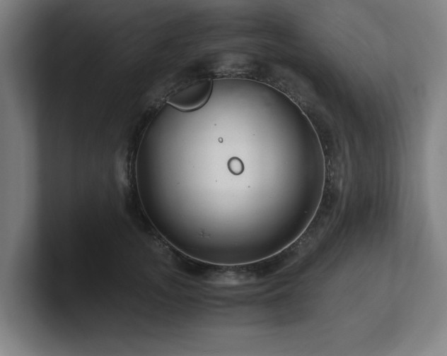X0000101710755200807171535