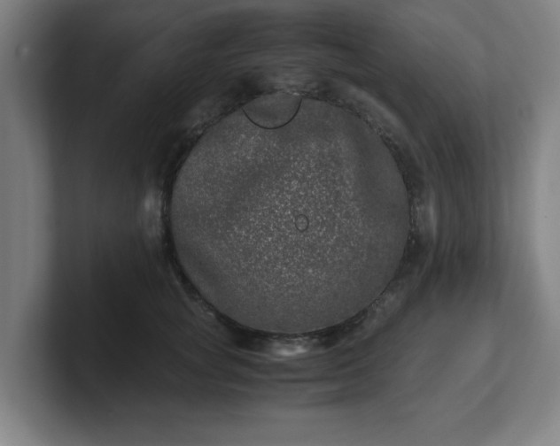 X0000101710757200807171536