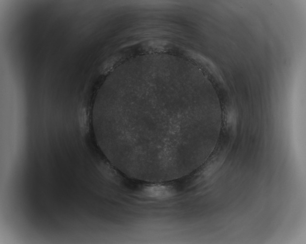 X0000101710759200807171536