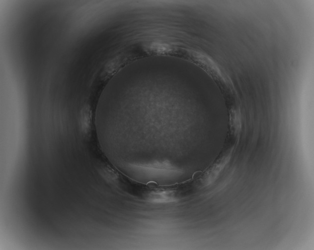 X0000101710760200807171536