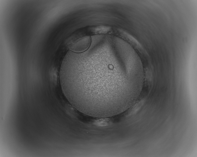X0000101710761200807171536