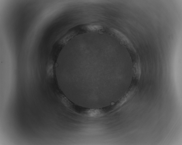 X0000101710762200807171536