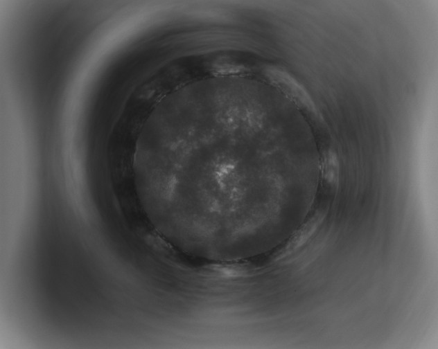 X0000101710763200807171536