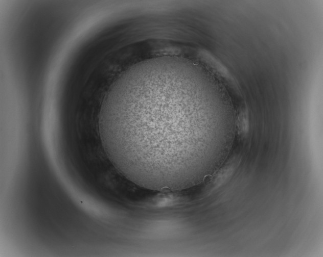 X0000101710764200807171536