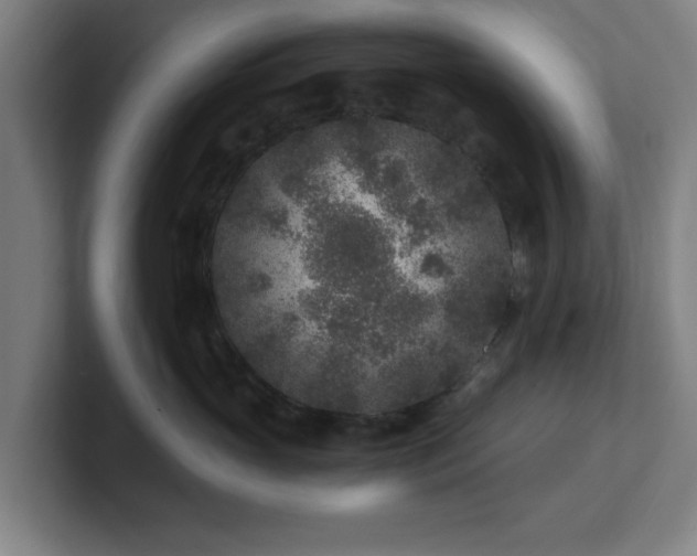 X0000101710765200807171536