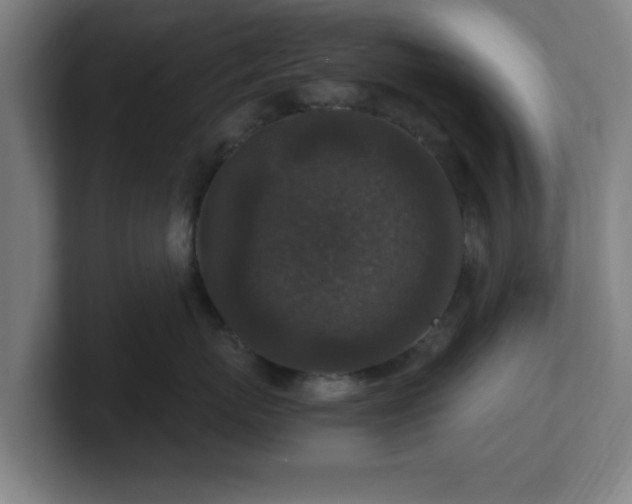 X0000101710767200807171536
