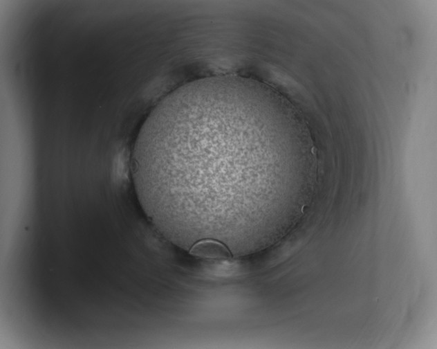 X0000101710768200807171536