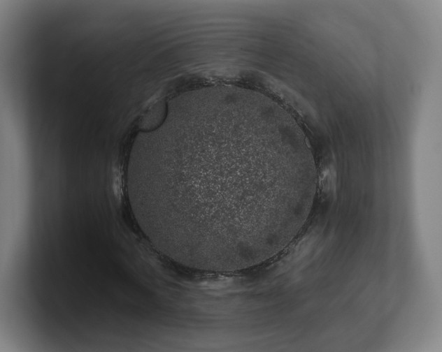 X0000101710772200807171535