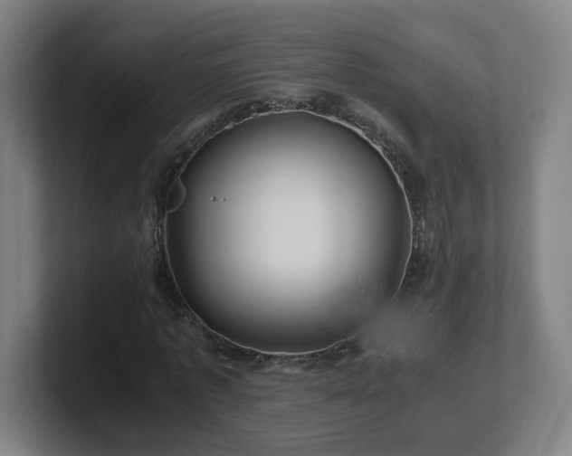 X0000101710773200807171535