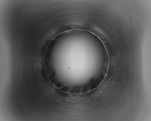 X0000101710774200807171535