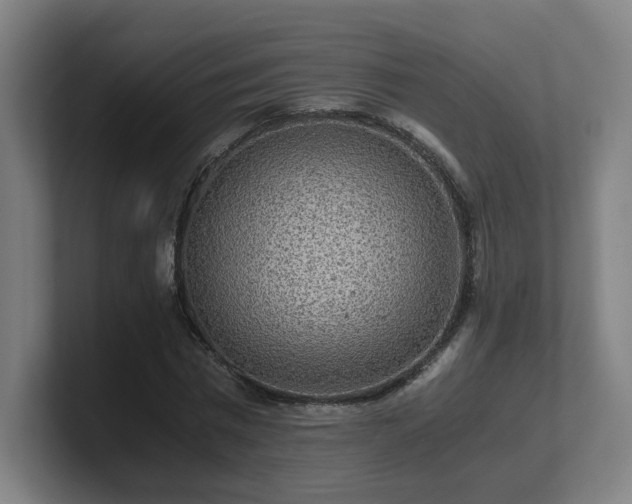 X0000101710777200807171535