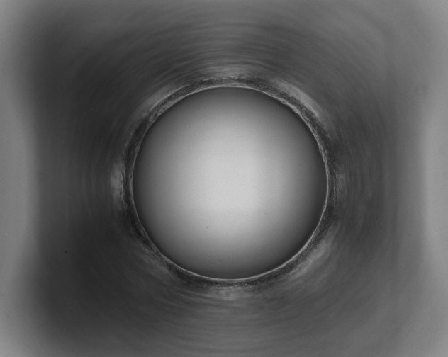 X0000101710778200807171535