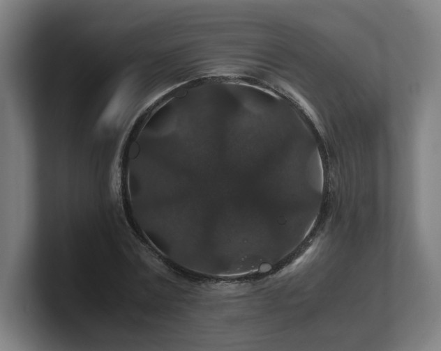 X0000101710779200807171535