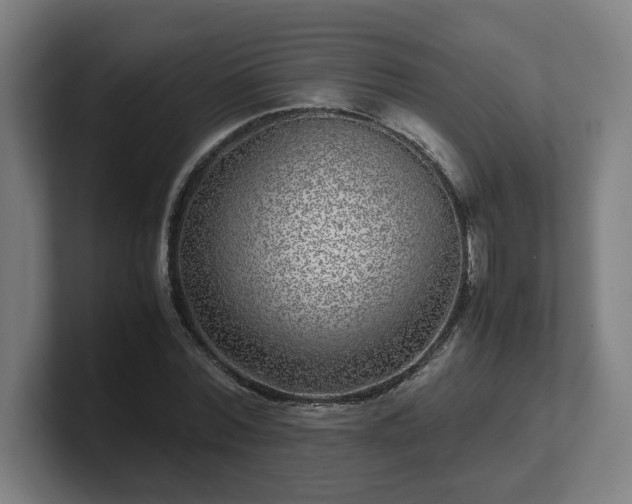X0000101710780200807171535