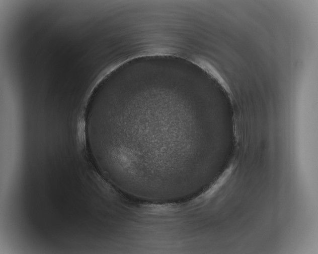 X0000101710781200807171535