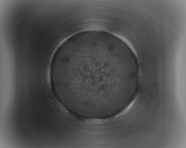 X0000101710783200807171535