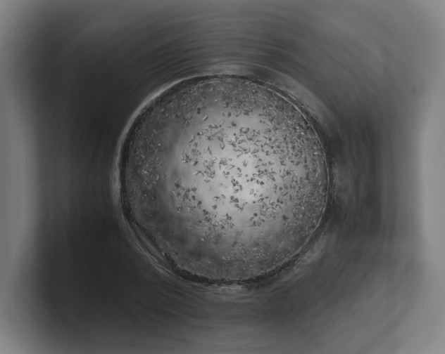 X0000101710784200807171535