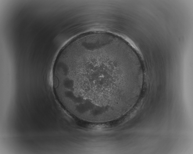 X0000101710791200807171535