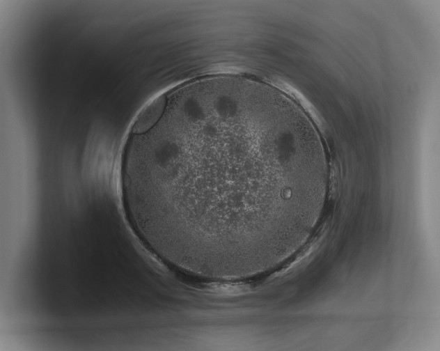 X0000101710795200807171535