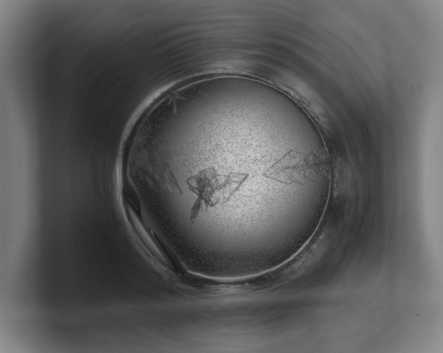 X0000101710796200807171535