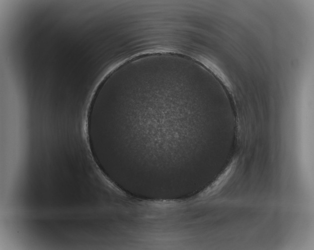 X0000101710797200807171535