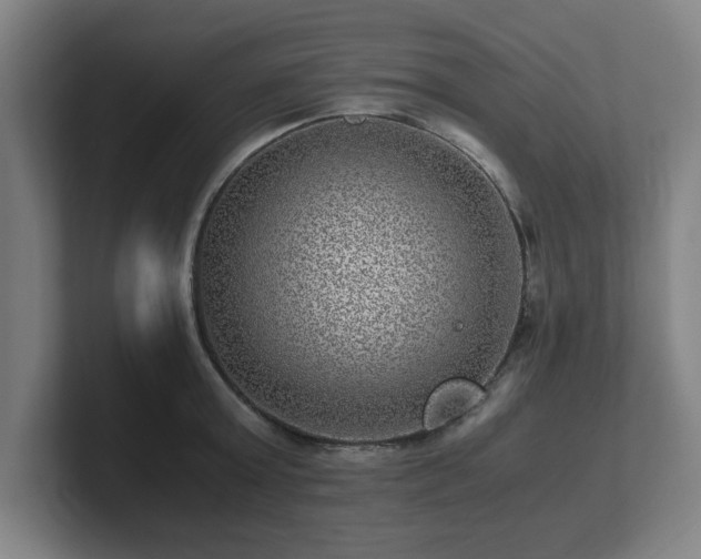 X0000101710803200807171535