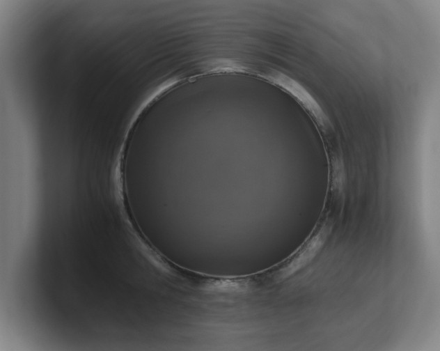 X0000101710806200807171535