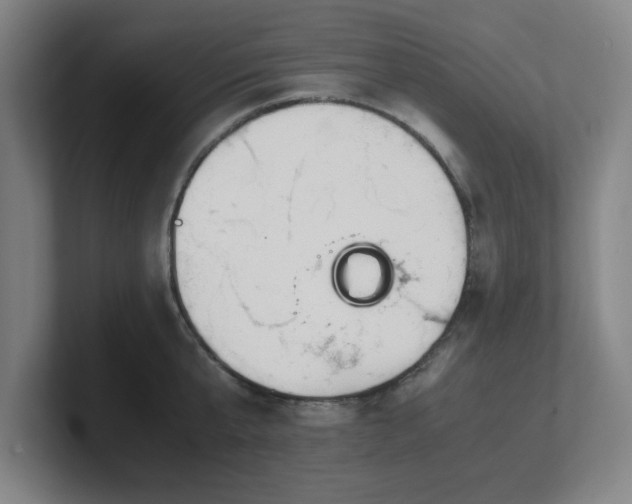 X0000101710807200807171535