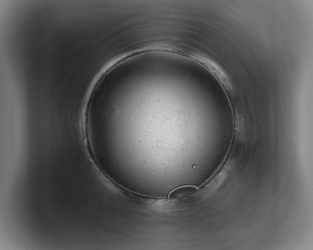X0000101710808200807171534