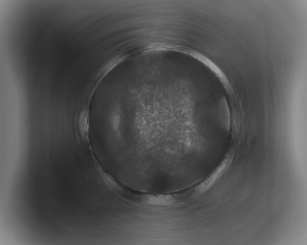 X0000101710809200807171534