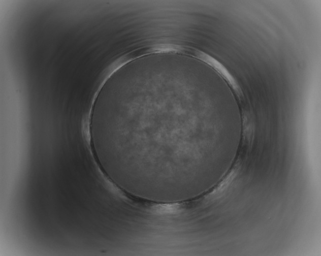 X0000101710810200807171534