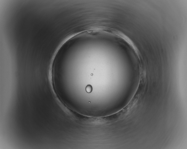 X0000101710811200807171534