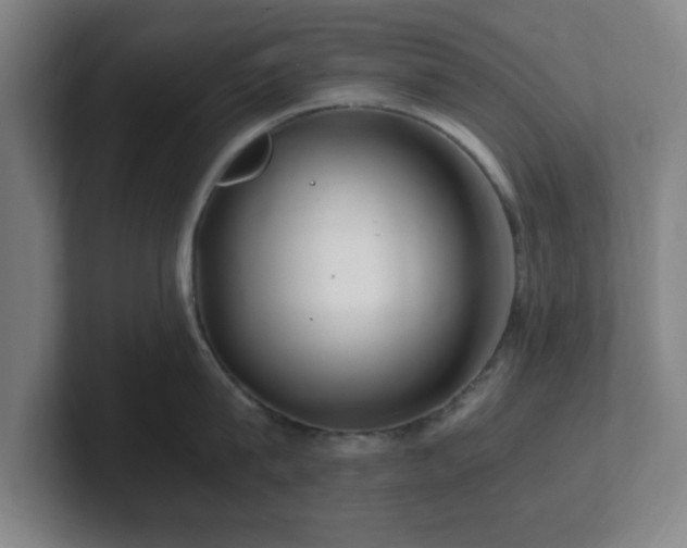 X0000101710815200807171534