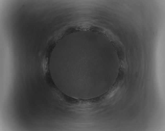 X0000101710818200807171534