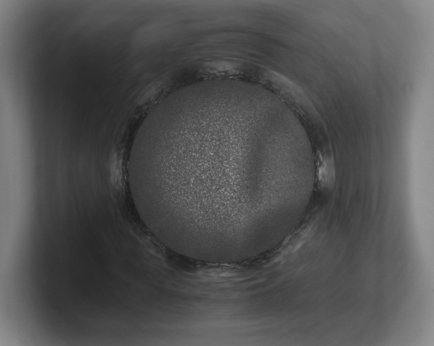 X0000101710819200807171534