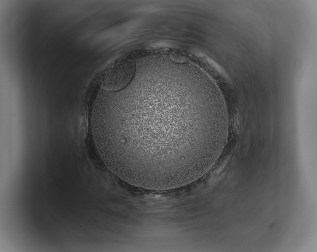 X0000101710821200807171534