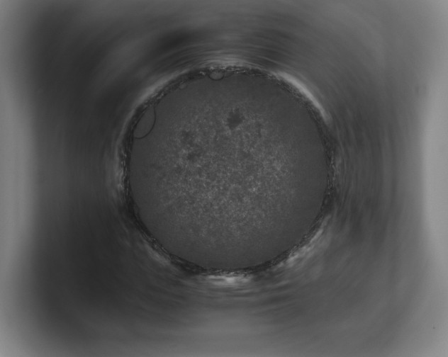X0000101710823200807171534