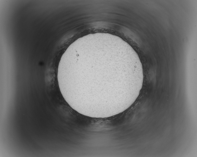 X0000101710824200807171534