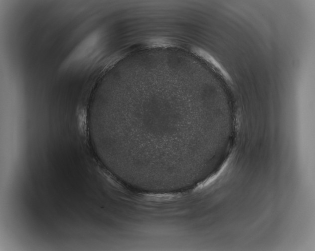 X0000101710825200807171534
