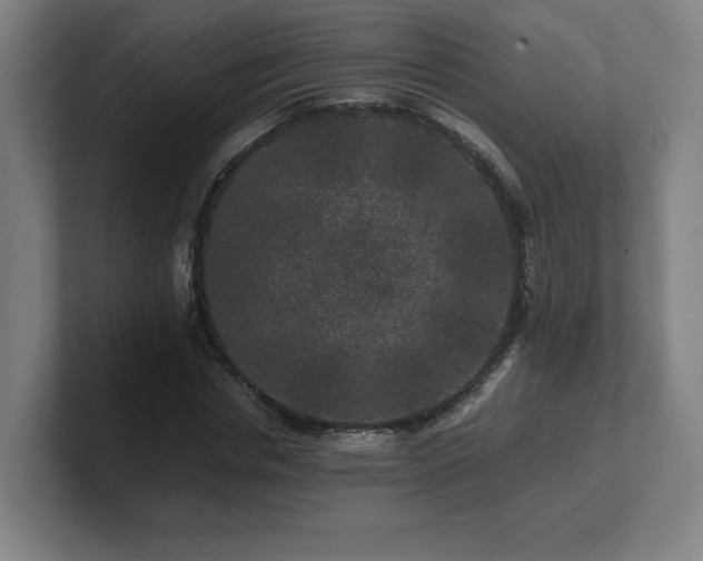 X0000101710826200807171534