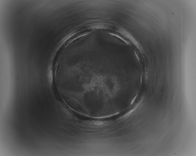 X0000101710829200807171534