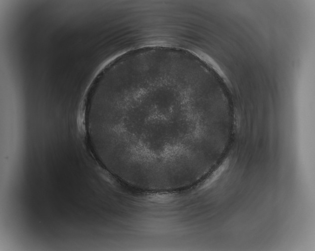 X0000101710830200807171534