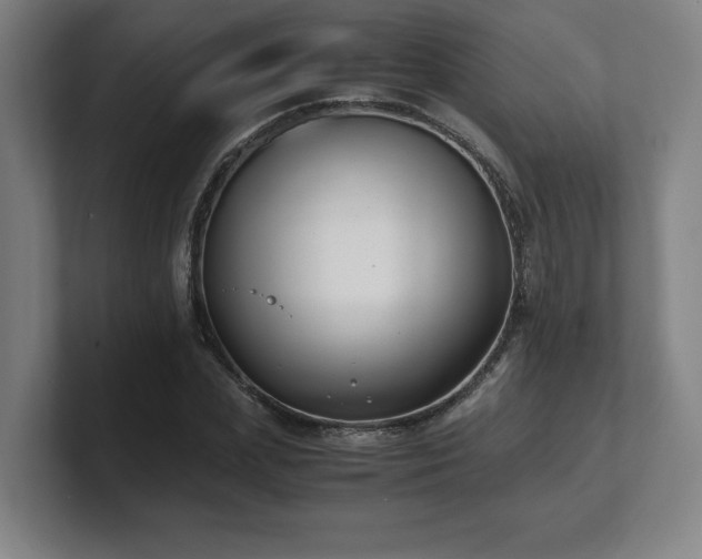 X0000101710831200807171534