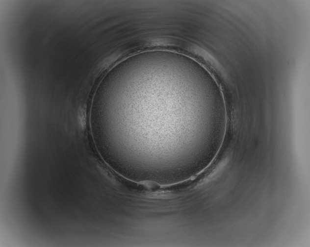 X0000101710833200807171534