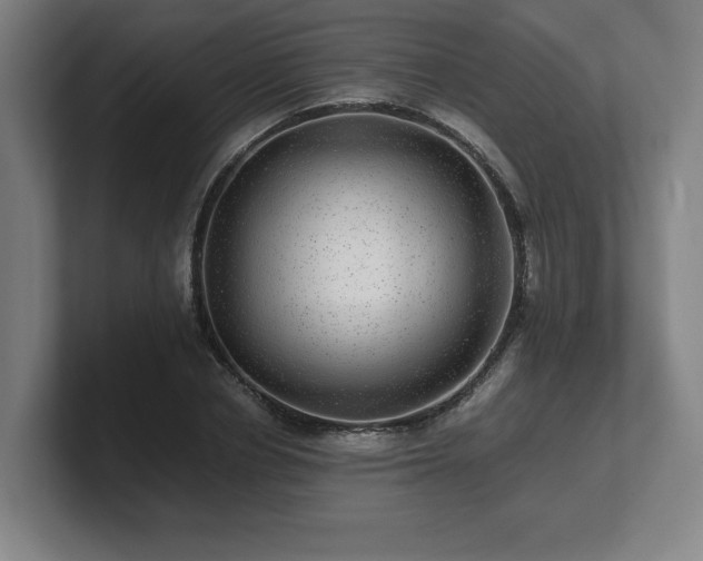 X0000101710834200807171534